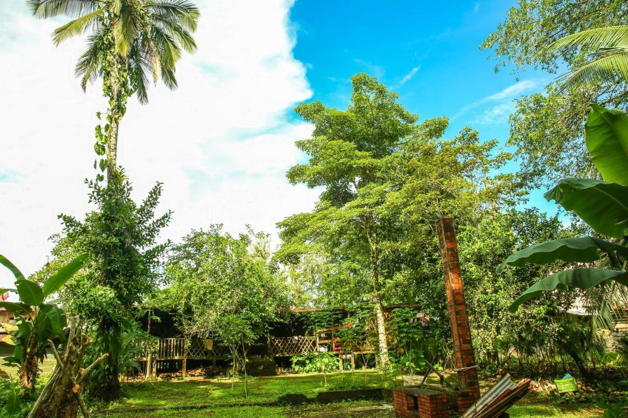 Tapir Lodge Santa Rita  Exterior foto
